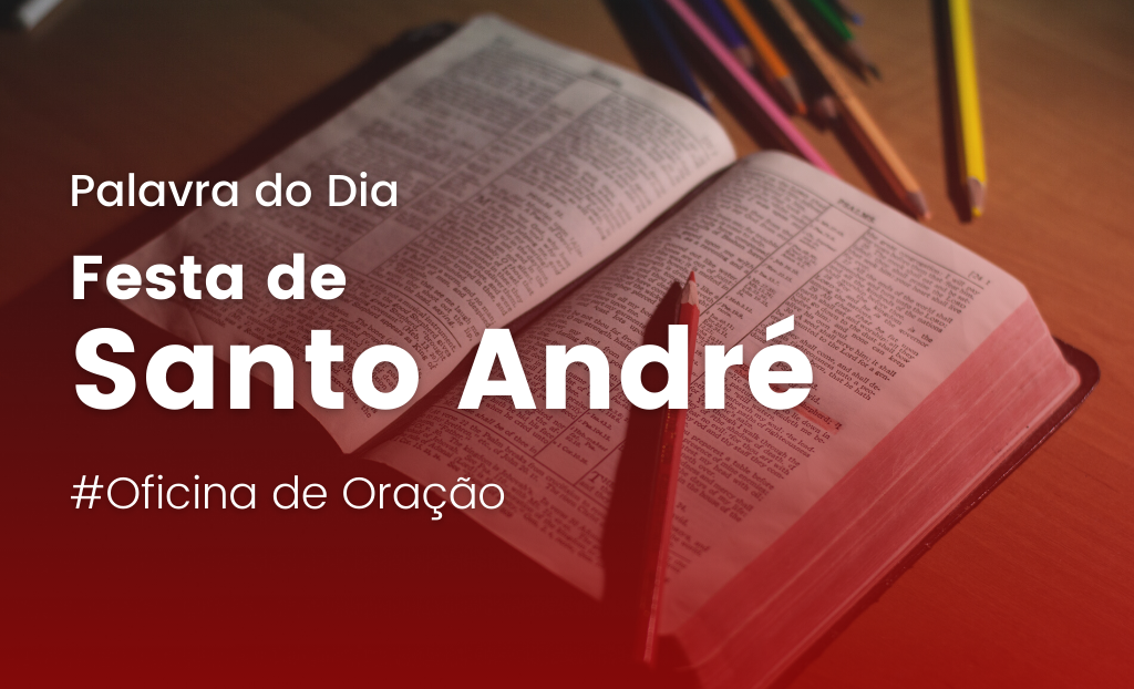 Estavam lançando a rede ao mar