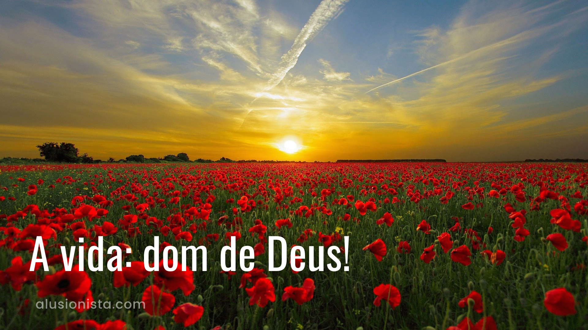 Vida: dom de Deus!